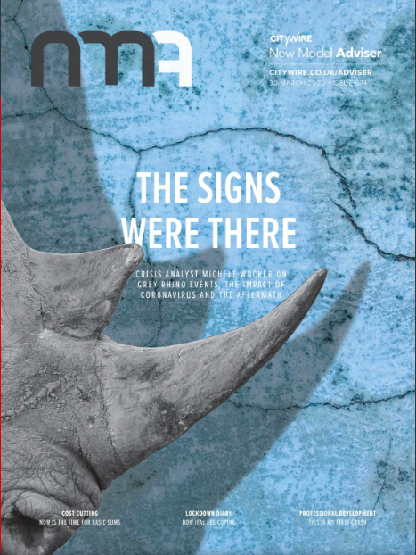 Cover of New Model Advisor Magazine -a rhino's horn in front of a cracked wall with headline "The Signs Were There"