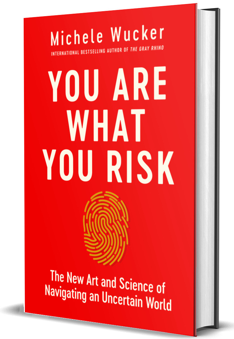 Cover of book YOU ARE WHAT YOU RISK with fingerprint shaped maze on cover